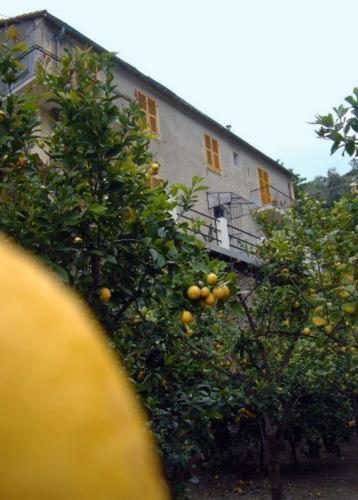La Casa Dei Limoni Hotel Monterosso al Mare Bagian luar foto